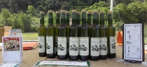 plusieurs bouteilles d'huile d'olive sur une table